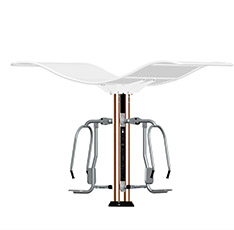 双柱腰腹训练器(图3)