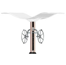 双柱大转轮(图6)